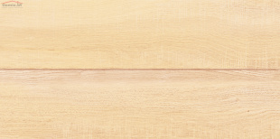 Плитка AltaCera Briole Wood WT9BRE11 (24,9x50)